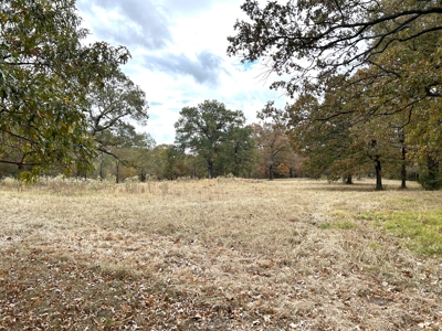 Land For Sale in Powderly TX, Lamar County TX - image 3