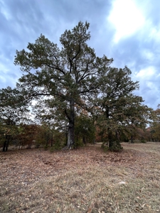 Land For Sale in Powderly TX, Lamar County TX - image 12