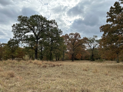 Land For Sale in Powderly TX, Lamar County TX - image 6