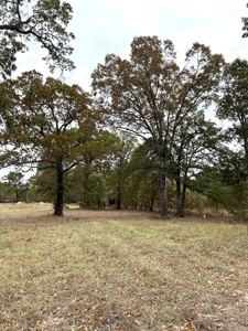 Land For Sale in Powderly TX, Lamar County TX - image 8
