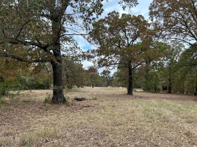 Land For Sale in Powderly TX, Lamar County TX - image 9