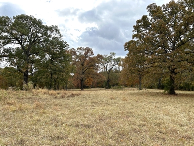 Land For Sale in Powderly TX, Lamar County TX - image 5
