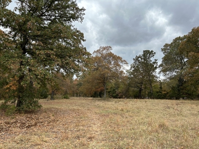 Land For Sale in Powderly TX, Lamar County TX - image 11