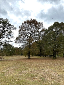 Land For Sale in Powderly TX, Lamar County TX - image 2