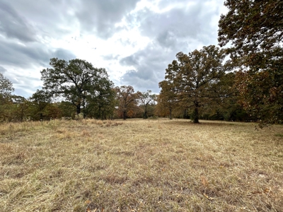 Land For Sale in Powderly TX, Lamar County TX - image 1