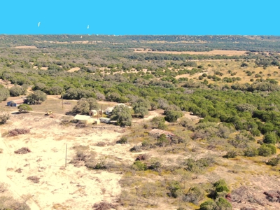 Great Opportunity for Hunting in Central Texas - image 3