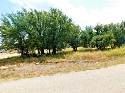Great Opportunity for Hunting in Central Texas - image 27