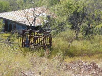 Great Opportunity for Hunting in Central Texas - image 13