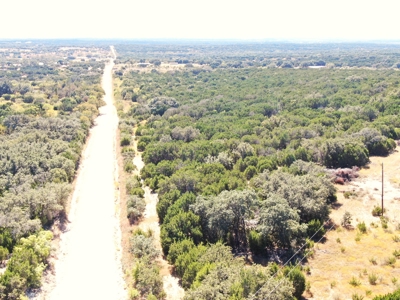 Great Opportunity for Hunting in Central Texas - image 2