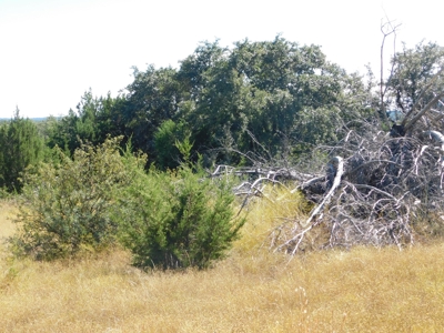 Great Opportunity for Hunting in Central Texas - image 4