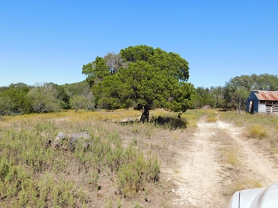 Great Opportunity for Hunting in Central Texas - image 15