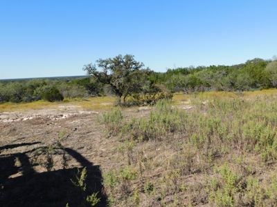 Great Opportunity for Hunting in Central Texas - image 16