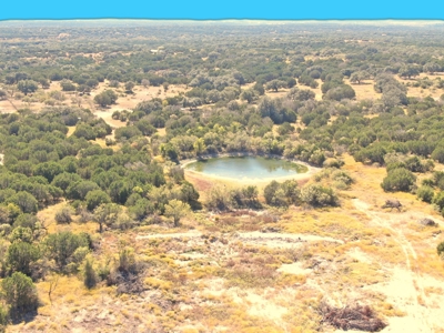 Great Opportunity for Hunting in Central Texas - image 1
