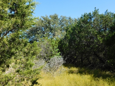 Great Opportunity for Hunting in Central Texas - image 25