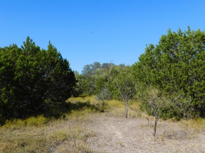 Great Opportunity for Hunting in Central Texas - image 24