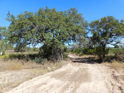 Great Opportunity for Hunting in Central Texas - image 10