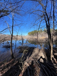 Vacant Lot for Sale Nashville NC, 79.46 Acres - image 7