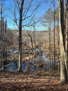 Vacant Lot for Sale Nashville NC, 79.46 Acres - image 10