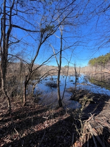 Vacant Lot for Sale Nashville NC, 79.46 Acres - image 13