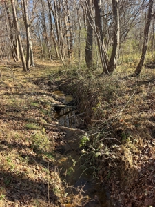Vacant Lot for Sale Nashville NC, 79.46 Acres - image 9