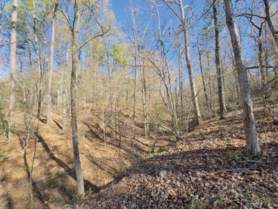 Arkansas Ozark Mountain Home And Land For Sale! - image 39