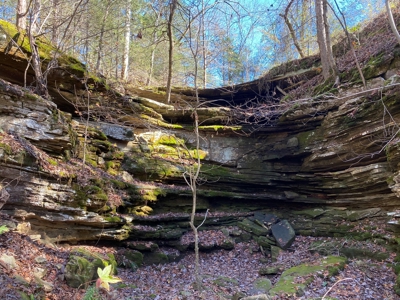 Arkansas Ozark Mountain Home And Land For Sale! - image 8