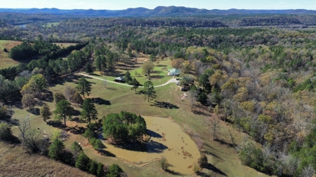 Arkansas Ozark Mountain Home And Land For Sale! - image 6