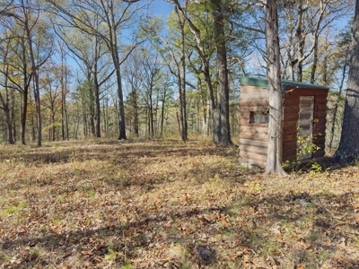Arkansas Ozark Mountain Home And Land For Sale! - image 42
