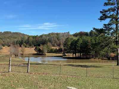 Arkansas Ozark Mountain Home And Land For Sale! - image 23