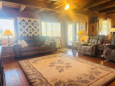Arkansas Ozark Mountain Home And Land For Sale! - image 9