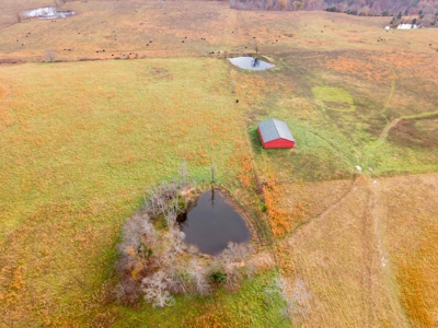 Farm House and 81.49m/l Acres For Sale in the Ozarks - image 46