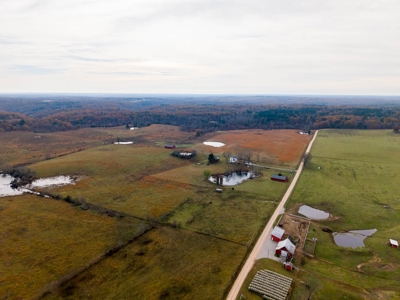 Farm House and 81.49m/l Acres For Sale in the Ozarks - image 43