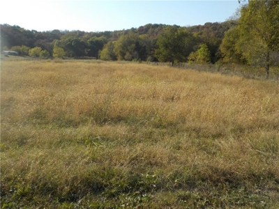 Benton County Land For Sale - image 1