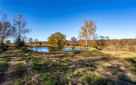 Benton County Land For Sale - image 8