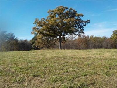 Benton County Land For Sale - image 2