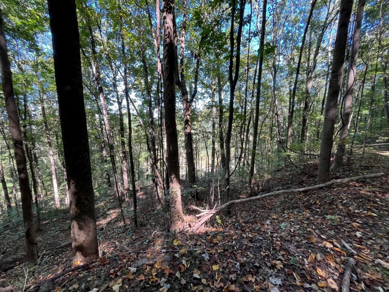 Land