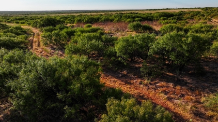 Ranch Recreational Land Wichita County Texas - image 38