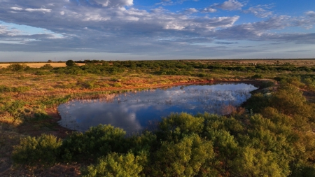 Ranch Recreational Land Wichita County Texas - image 3