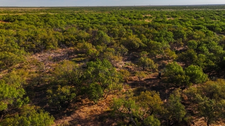 Ranch Recreational Land Wichita County Texas - image 50