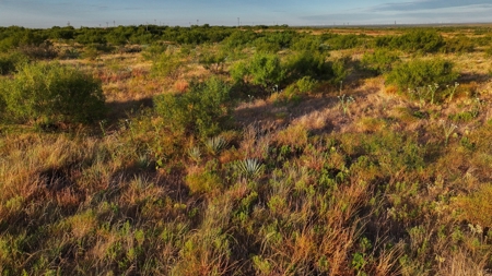 Ranch Recreational Land Wichita County Texas - image 23