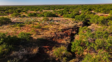 Ranch Recreational Land Wichita County Texas - image 40