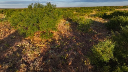 Ranch Recreational Land Wichita County Texas - image 22