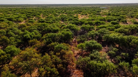 Ranch Recreational Land Wichita County Texas - image 49