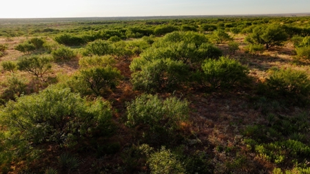 Ranch Recreational Land Wichita County Texas - image 25