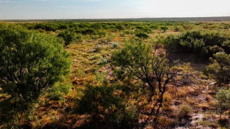 Ranch Recreational Land Wichita County Texas - image 33