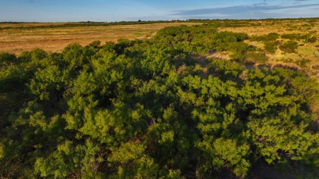 Ranch Recreational Land Wichita County Texas - image 15