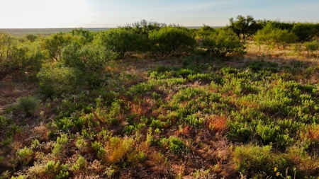 Ranch Recreational Land Wichita County Texas - image 24