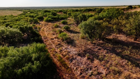 Ranch Recreational Land Wichita County Texas - image 37