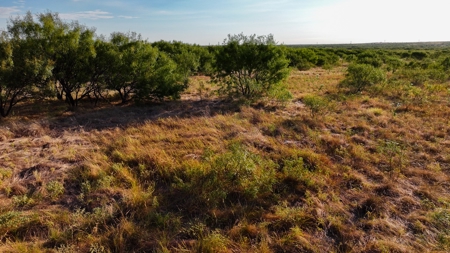 Ranch Recreational Land Wichita County Texas - image 34