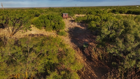 Ranch Recreational Land Wichita County Texas - image 28